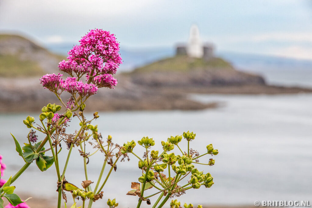 Gower Peninsula Wales 17
