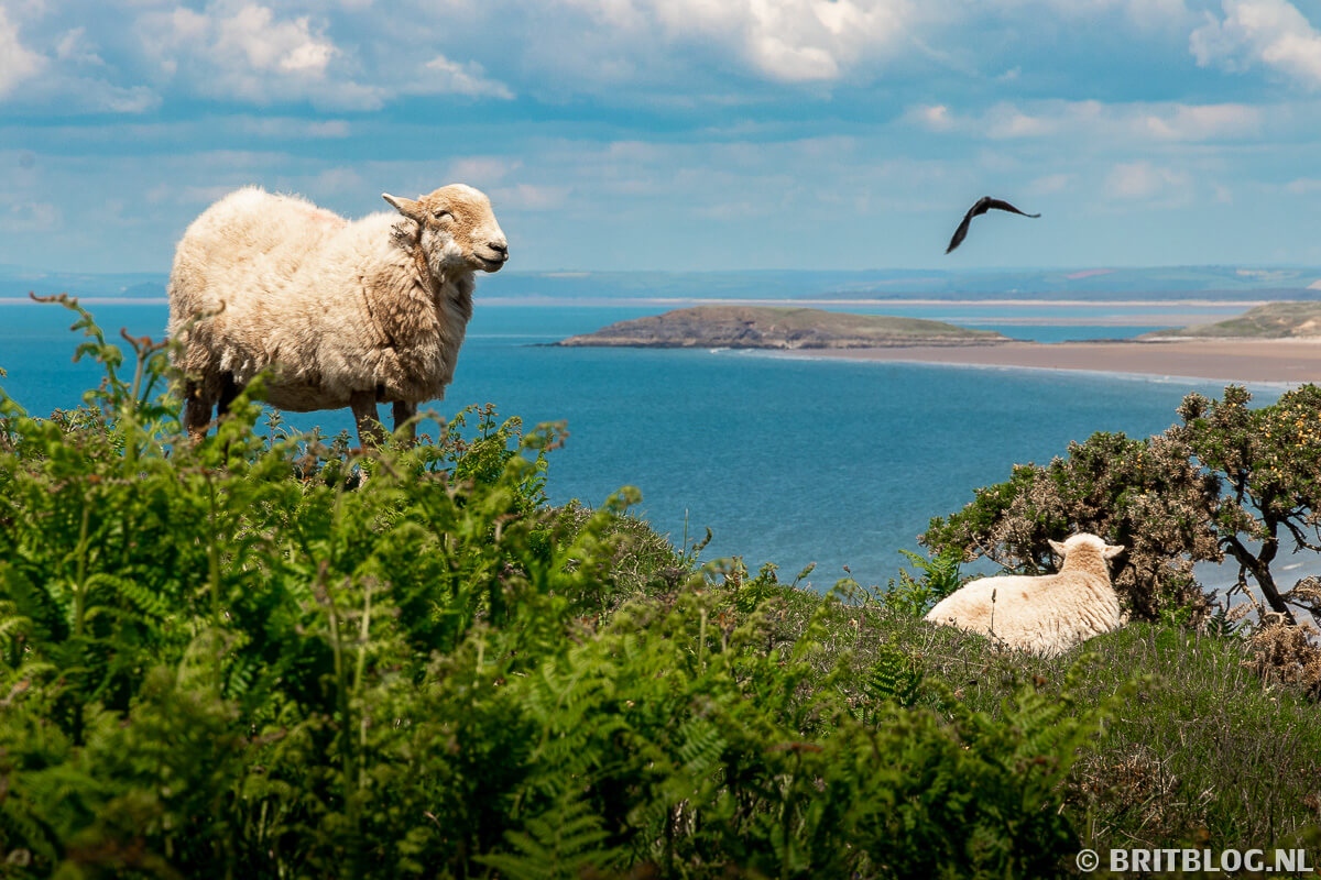 AONB Gower Peninsula: jouw gids voor dit schitterende schiereiland in Zuid-Wales