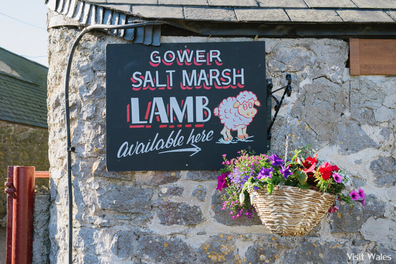 Gower salt marsh lamb
