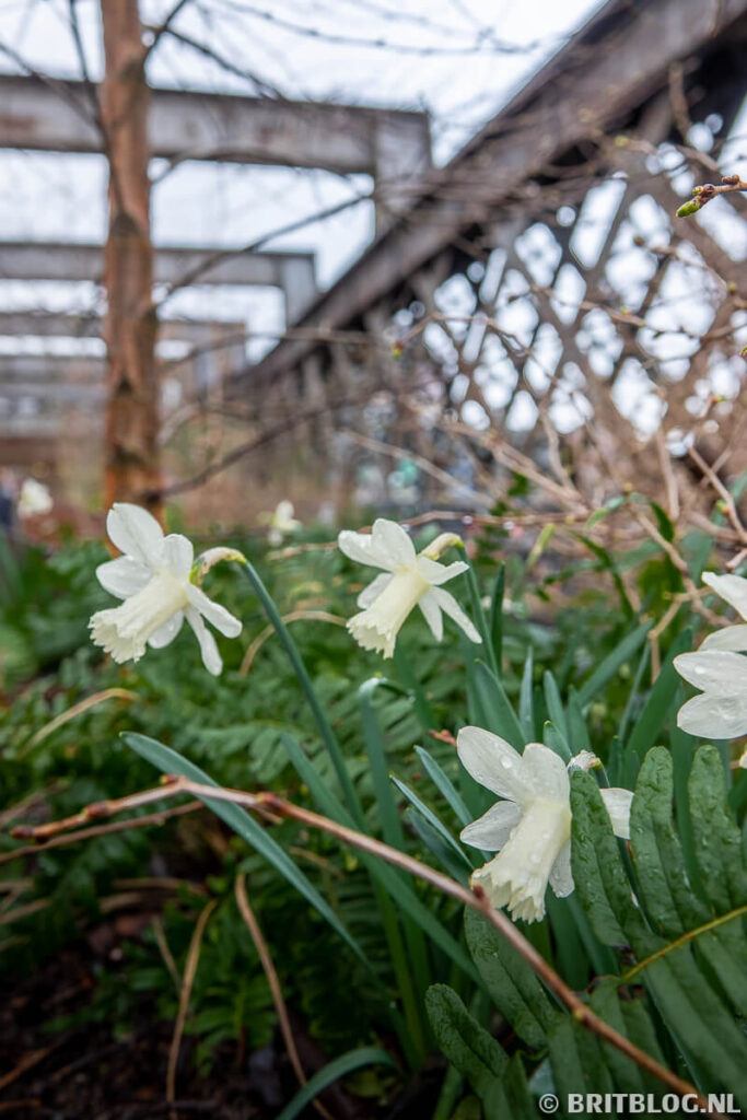 Castlefield Viaduct, Manchester