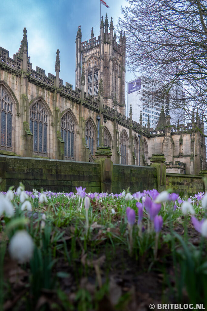 Manchester Cathedral