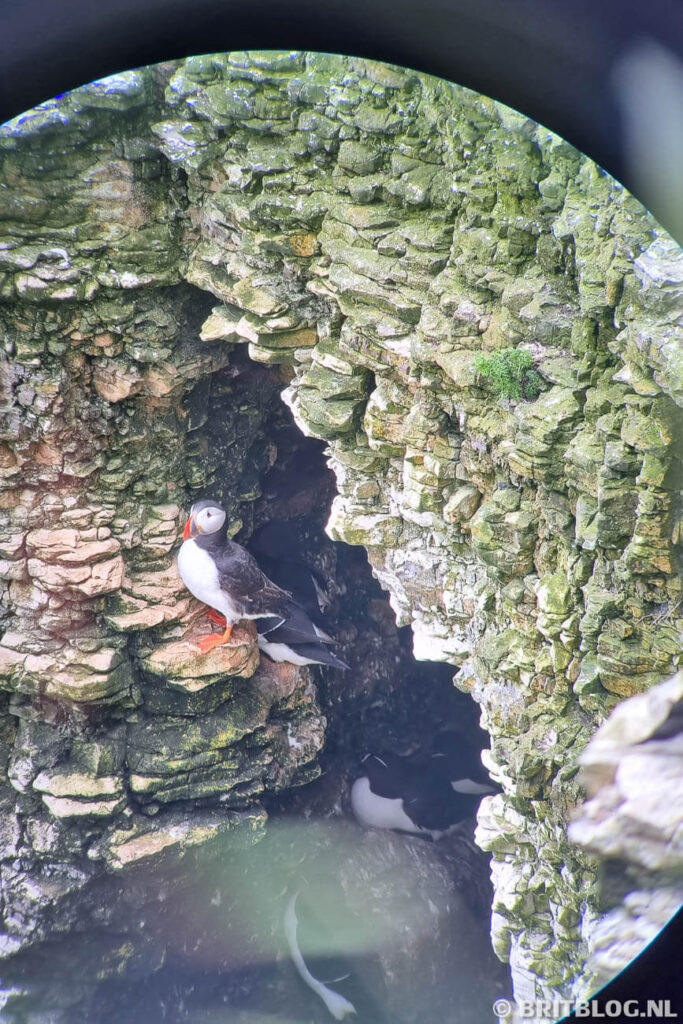 East Yorkshire roadtrip Flamborough Head 8