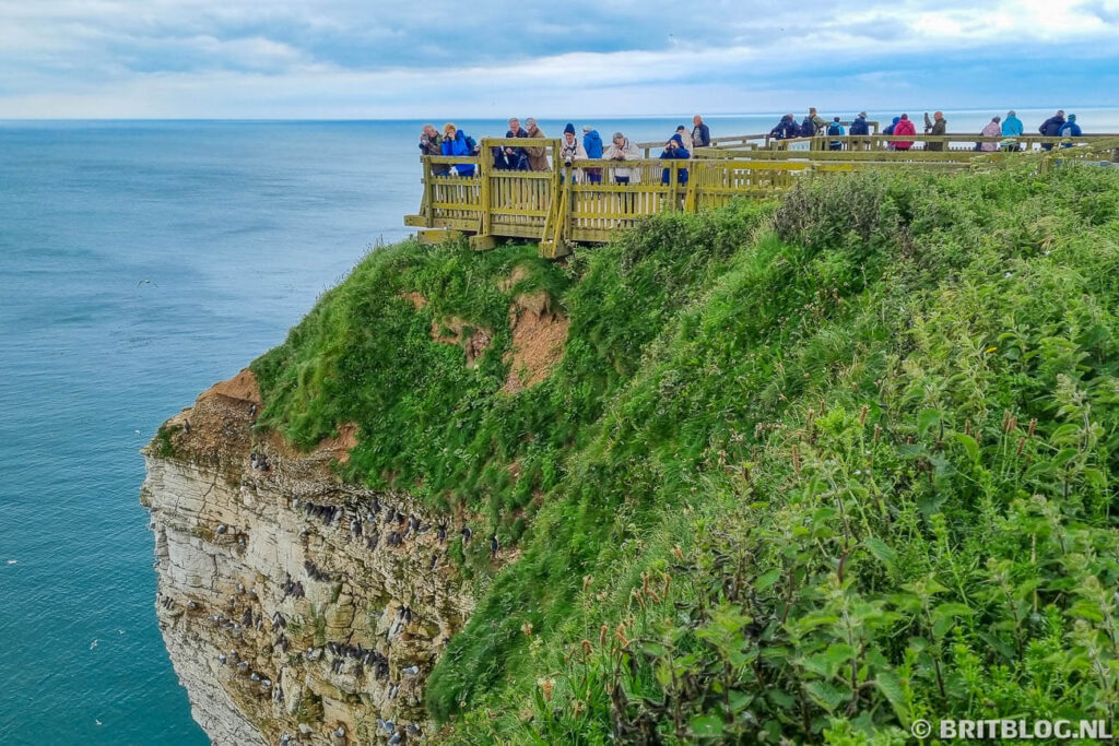 East Yorkshire roadtrip Flamborough Head 9