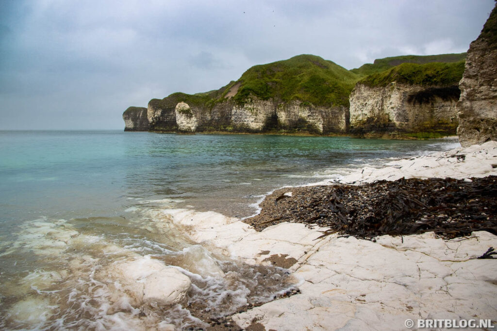 East Yorkshire Flamborough Head 437