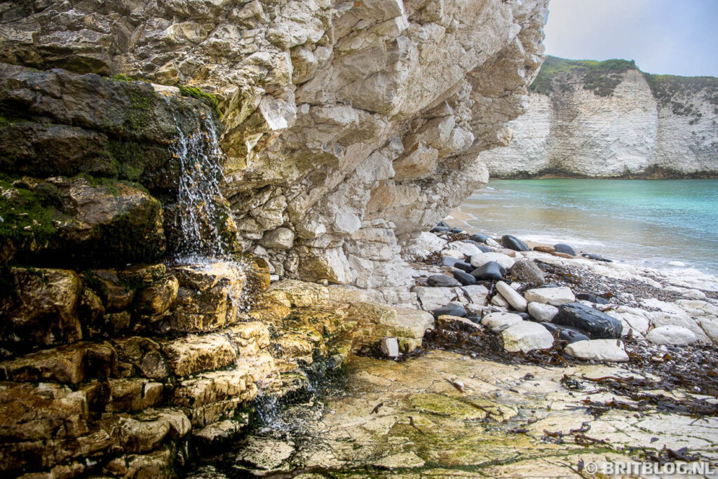 East Yorkshire Flamborough Head 5
