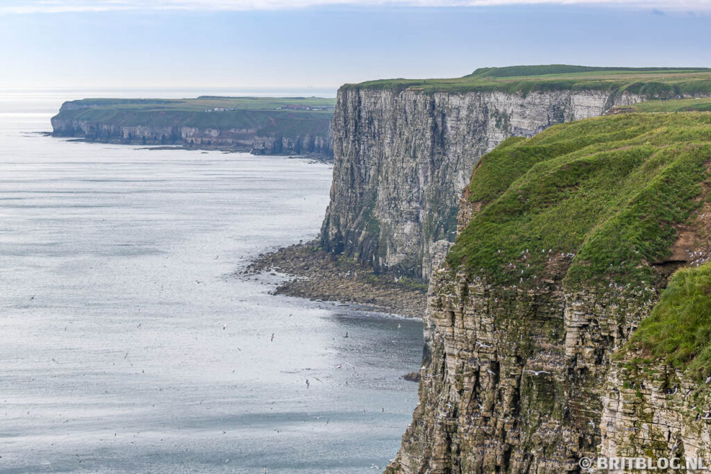 De kliffen van Flamborough Head