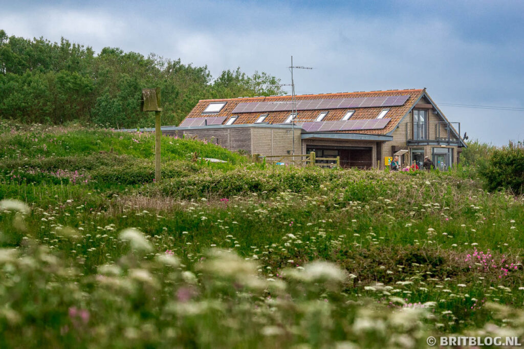 East Yorkshire Flamborough Head 978