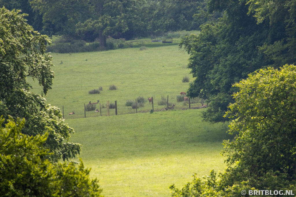 East Yorkshire roadtrip Sledmere 18