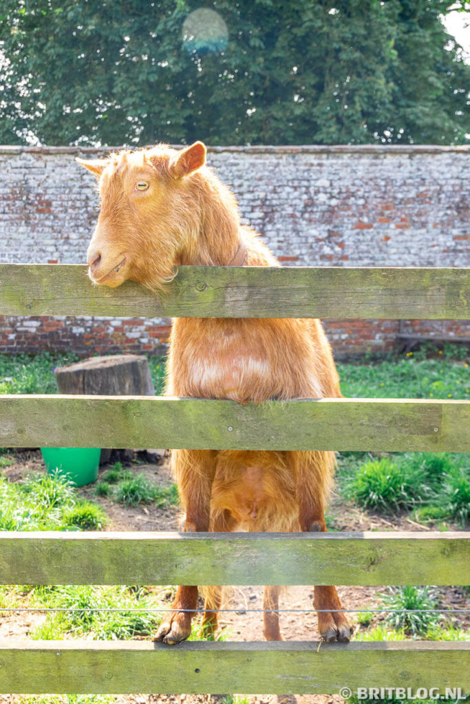 East Yorkshire roadtrip Sledmere 7