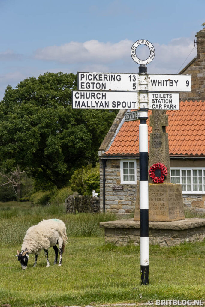North York Moors roadtrip oosten van Yorkshire 16