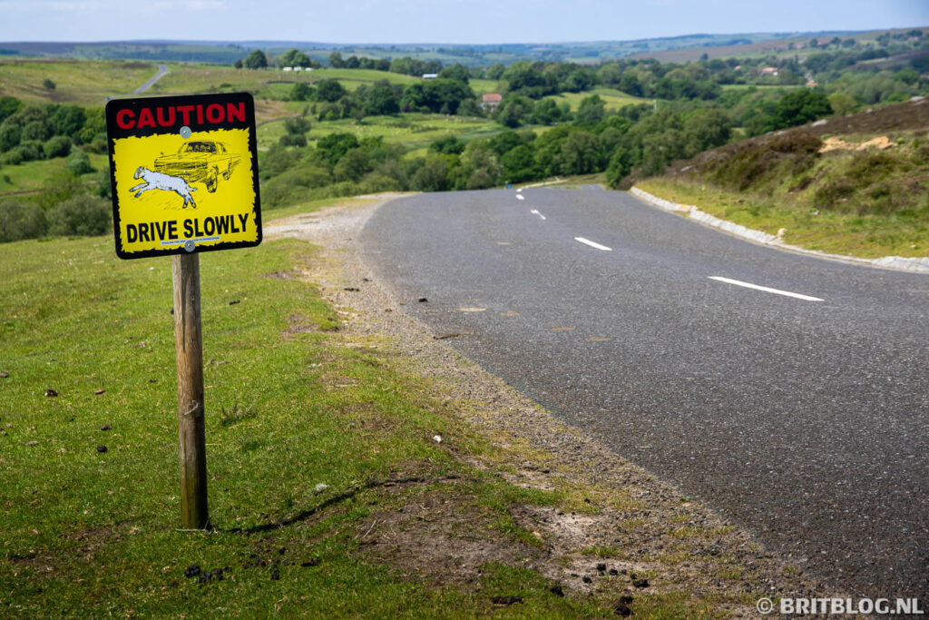 North York Moors roadtrip oosten van Yorkshire 19