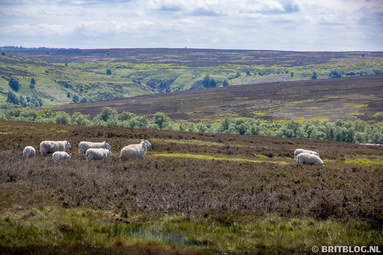 North York Moors, nationaal park in Engeland