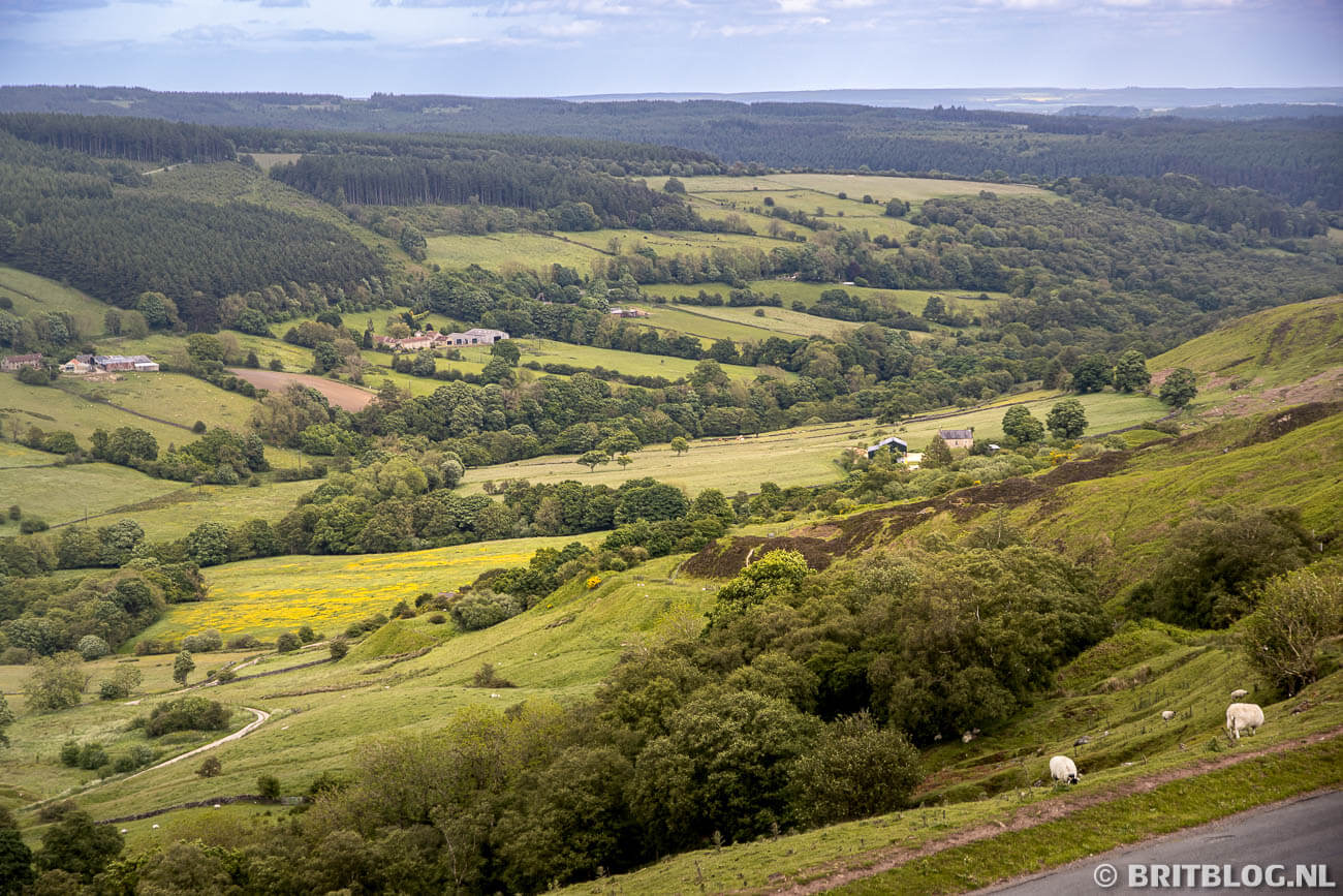 Moois in North York Moors National Park: de reisgids