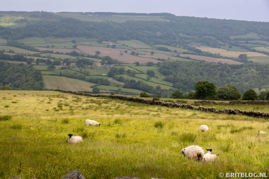 North York Moors roadtrip oosten van Yorkshire 8