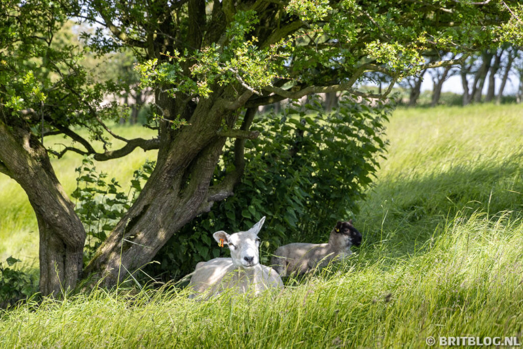 Yorkshire roadtrip 14