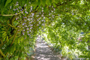 Sledmere Gardens