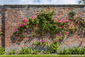 Sledmere Gardens