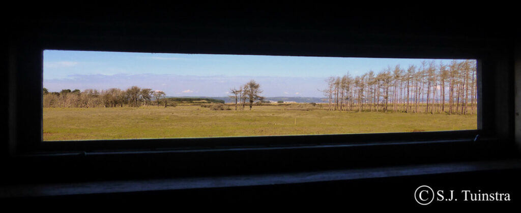 Cym Ivy marsch bird hide