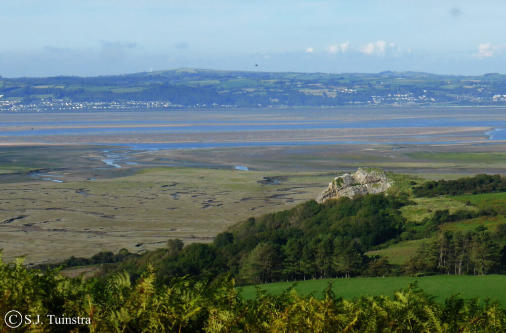 Landimore Marsh