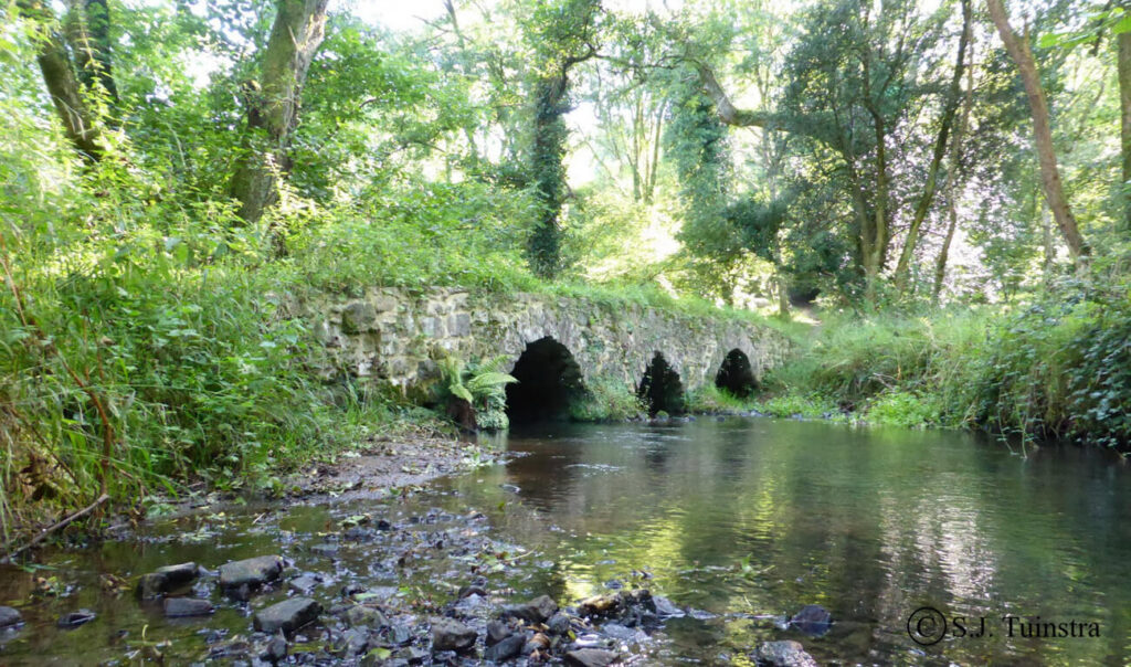 De Packhorse Bridge over de Burry Pill in het bos van Cheriton.