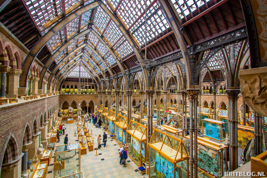 Oxford University Museum of Natural History