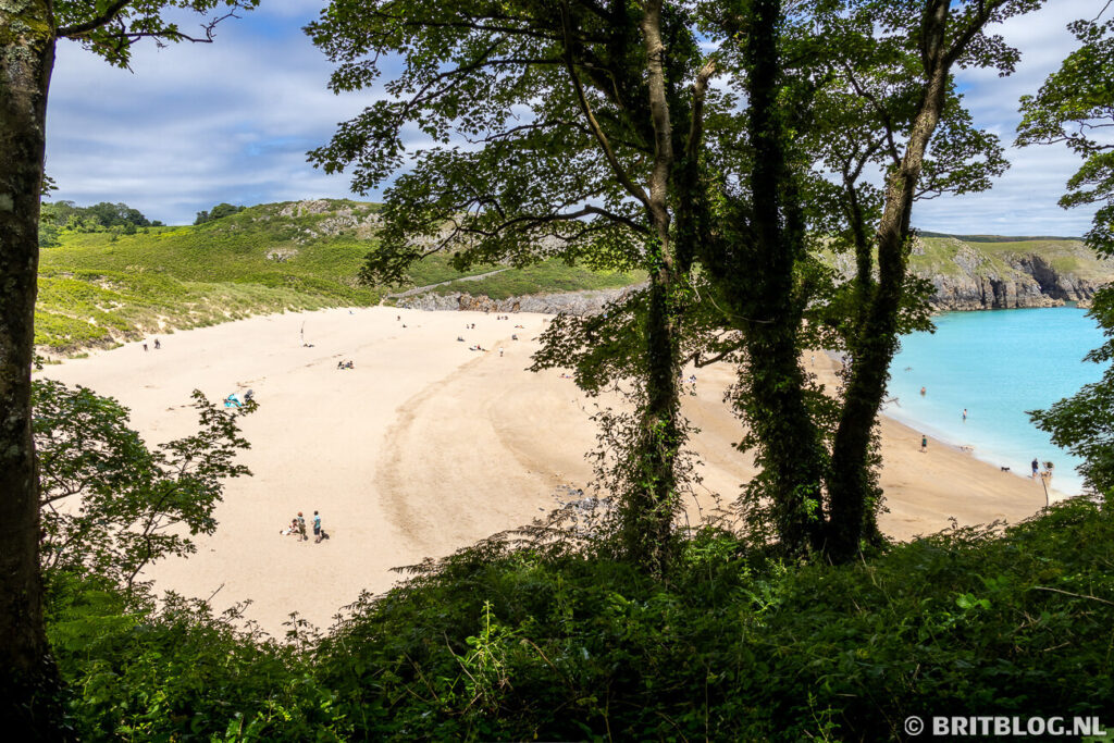 Het strand van Barafundle Bay doemt op tussen de bomen. 