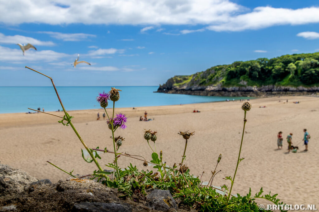 Barafundle Bay