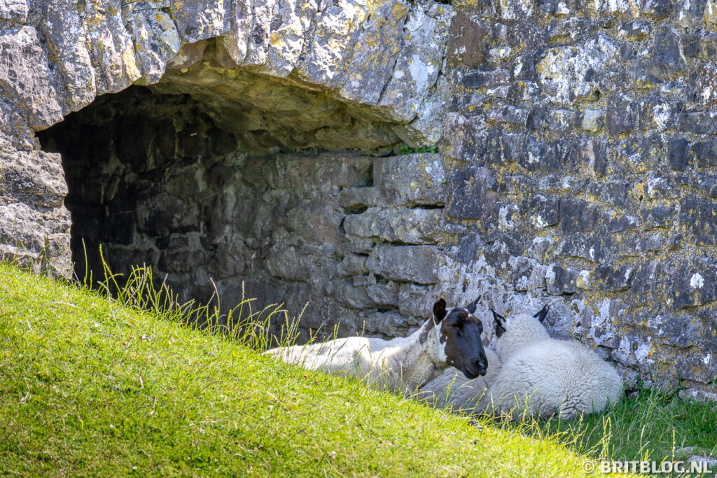 Ogmore Castle Wales Verenigd Koninkrijk 1