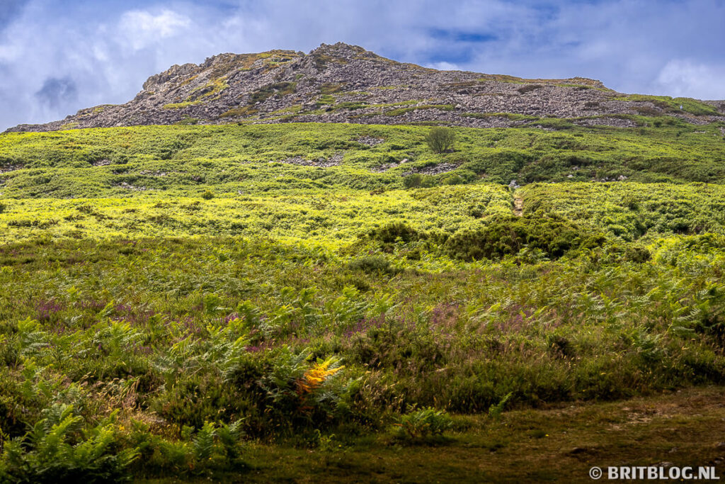 Carn Ingli, berg in de Preseli Hills