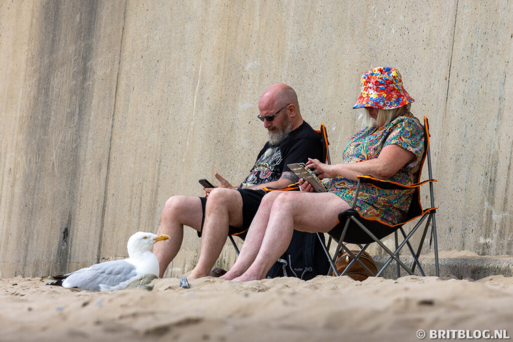 Een meeuw en twee mensen op het strand van  Saundersfoot