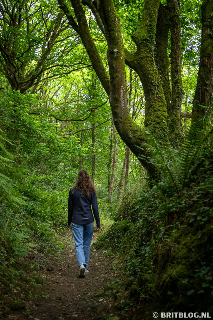 Wandelen bij Solva, Pembrokeshire Coast National Park