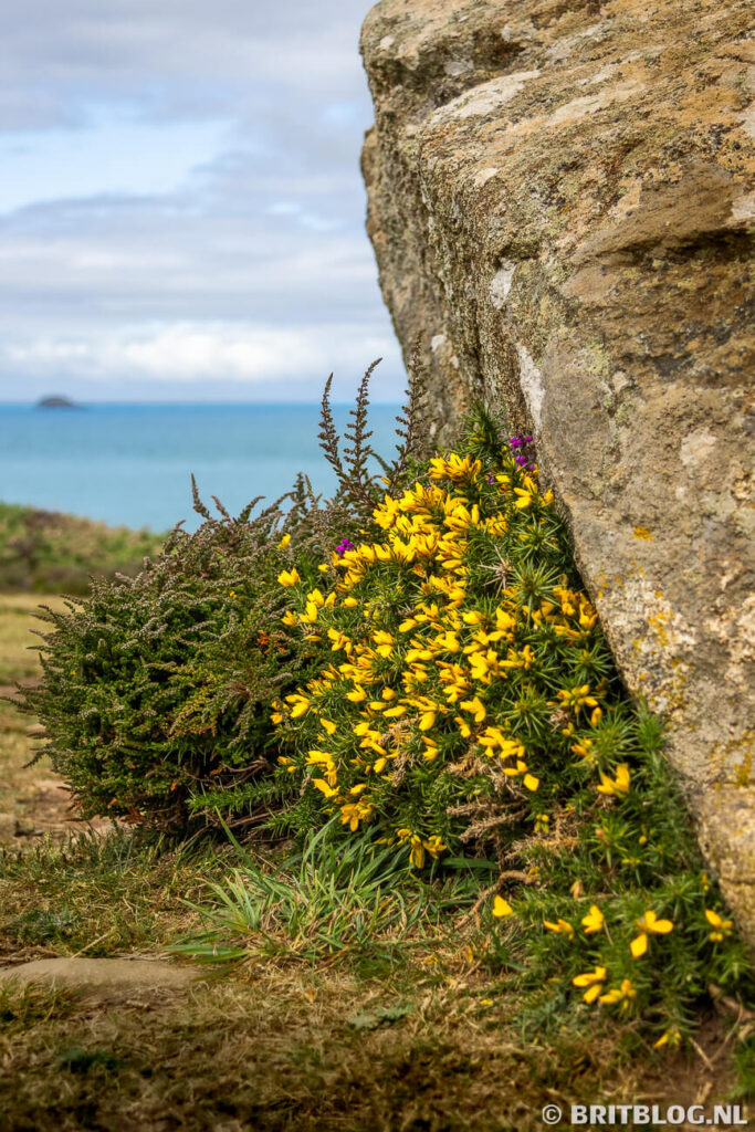 St Davids Head, Zuid-Wales