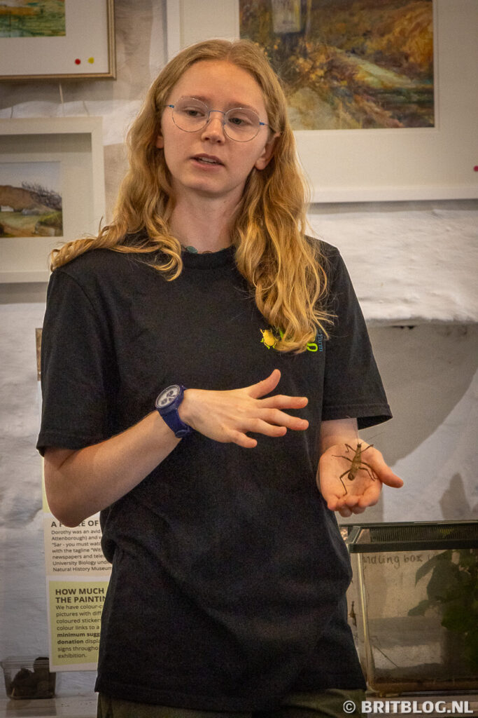 Meet the bug, The Bug Farm, St Davids