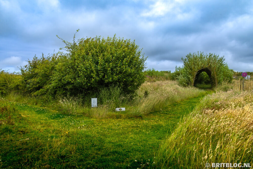 The Bug Farm, St Davids
