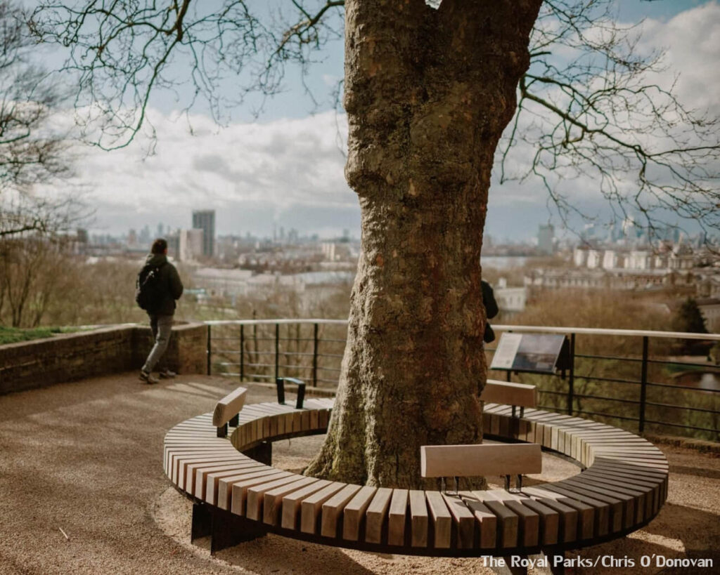 One Tree Hill Greenwich Park 1032904 199