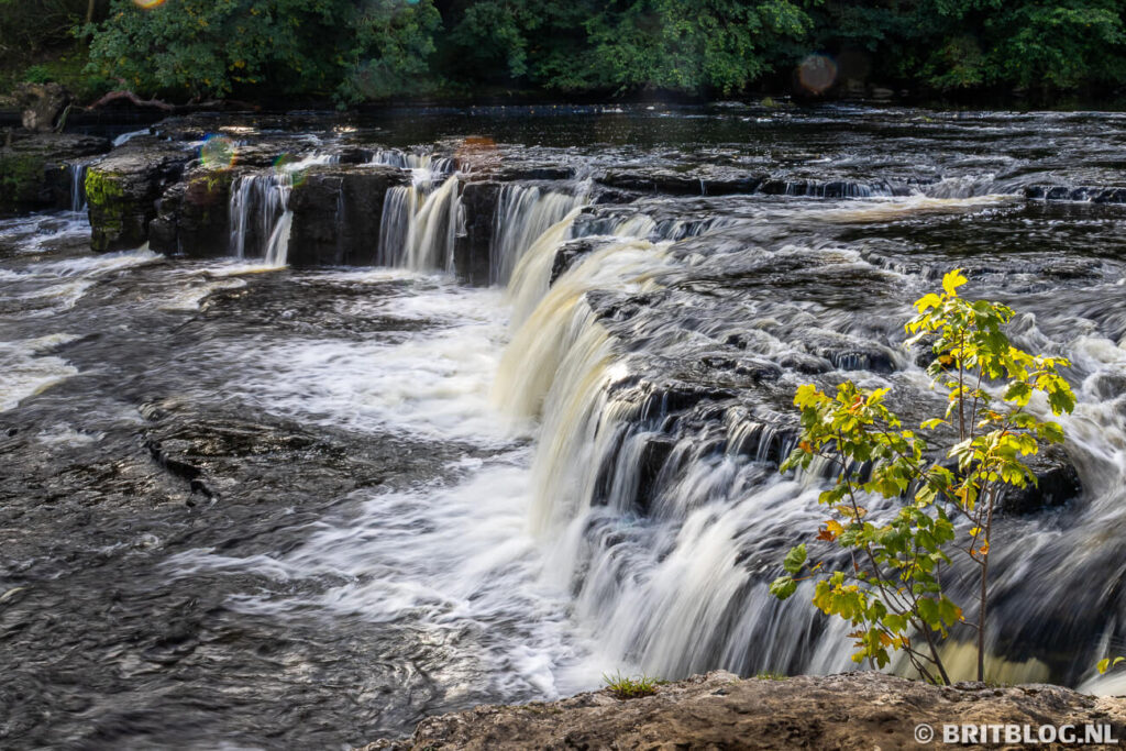 Aysgarth Falls Upper Falls Yorkshire Dales National Park Engeland 1