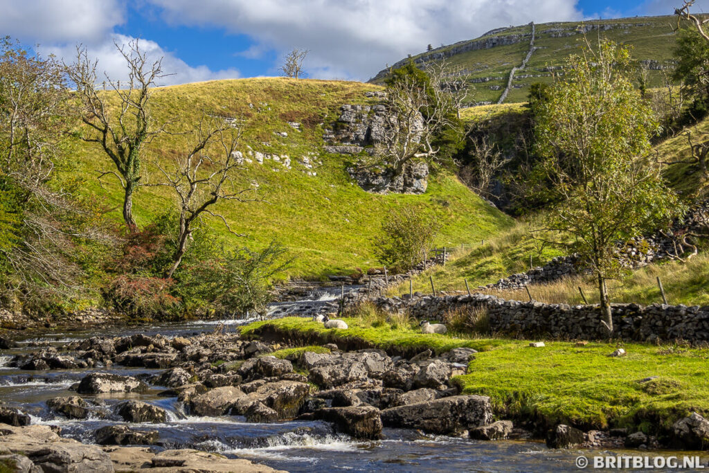 River Twiss, langs de Ingleton Waterfalls Trail, in een typisch Yorkshire Dales landschap met schapen, muurtjes en heuvels.
