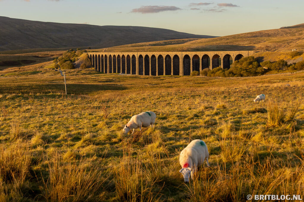Ribblehead Viaduct Yorkshire Dales National Park Engeland 1