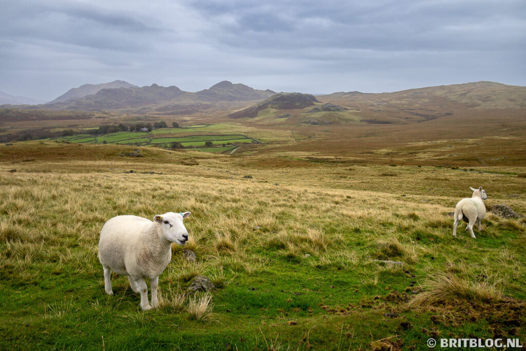 West Lake District