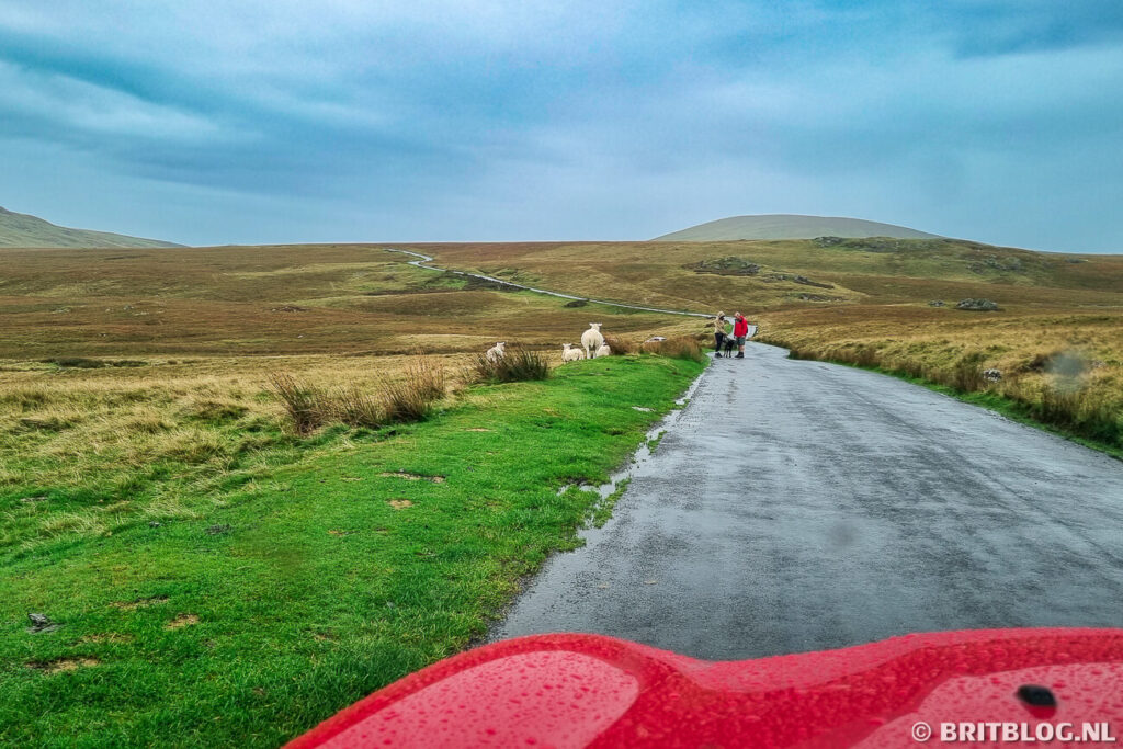Mensen en dieren lopen op de weg in het Lake District, Engeland. 