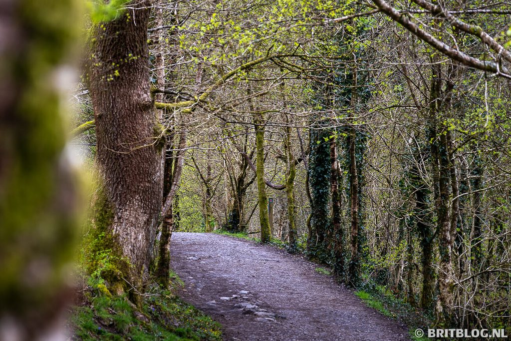 Four Waterfalls Walk Brecon Beacons Zuid Wales 5