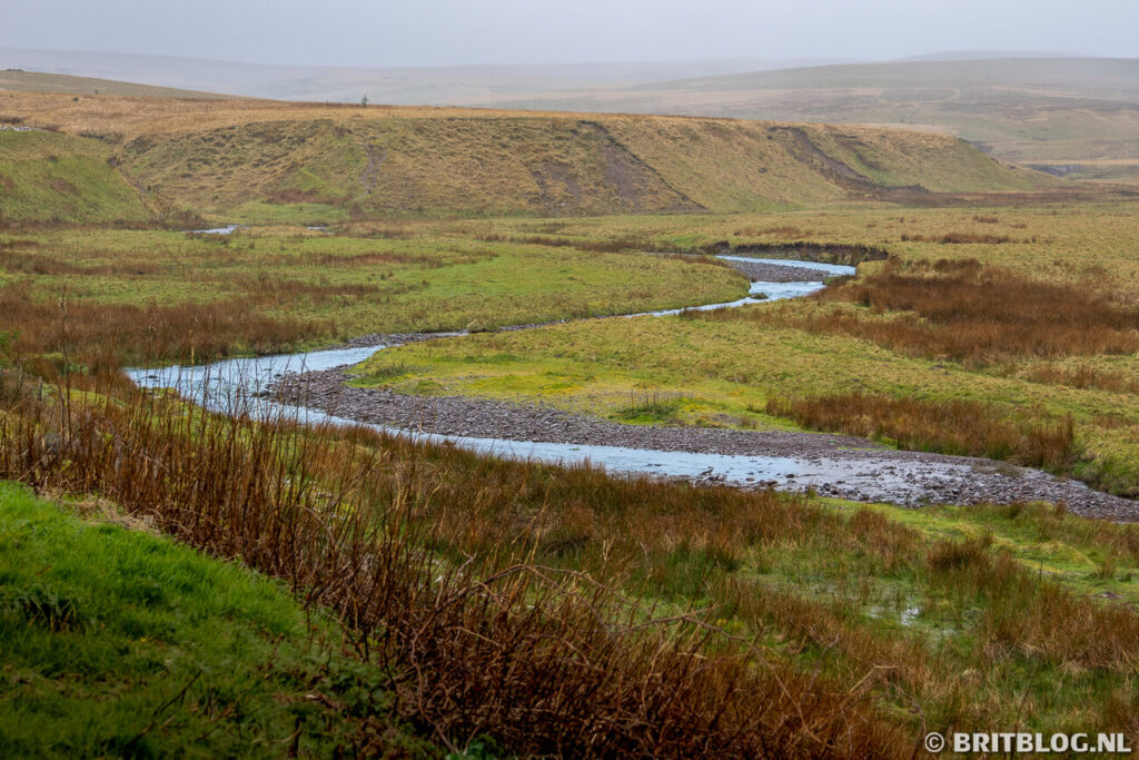 Glasfnydd Forest Bannau Brycheiniog Zuid Wales 1