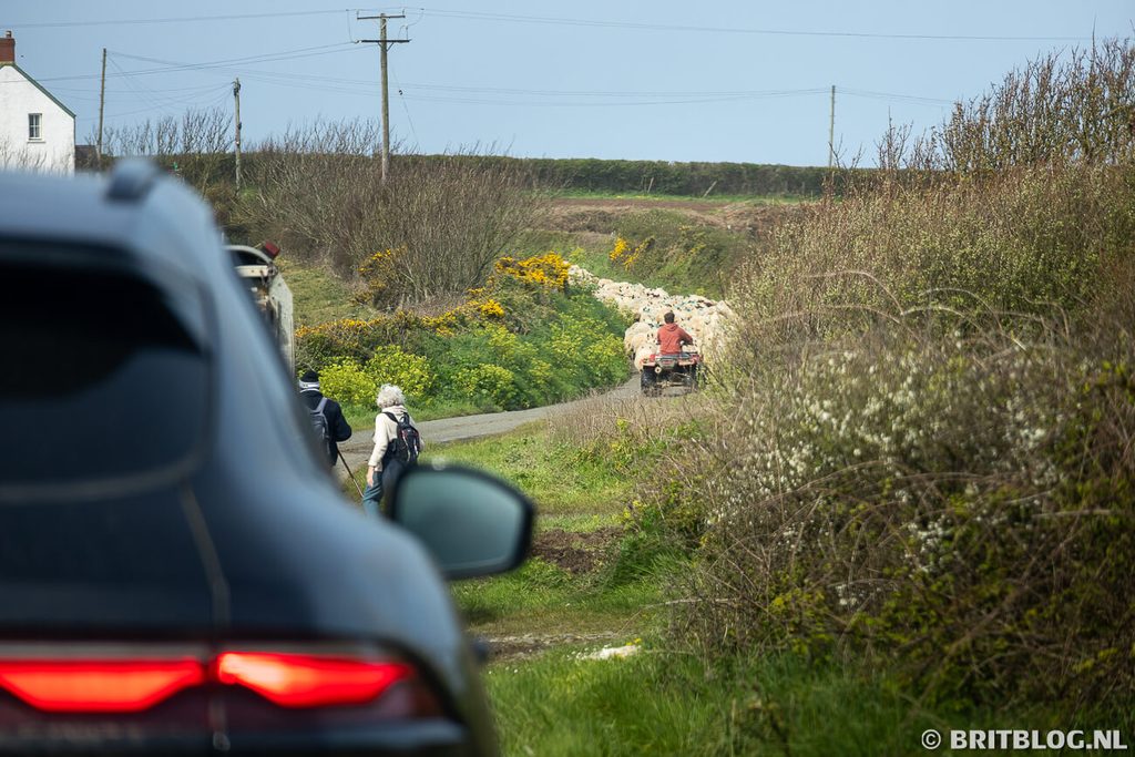 Marloes Peninsula Wales roadtrip 1