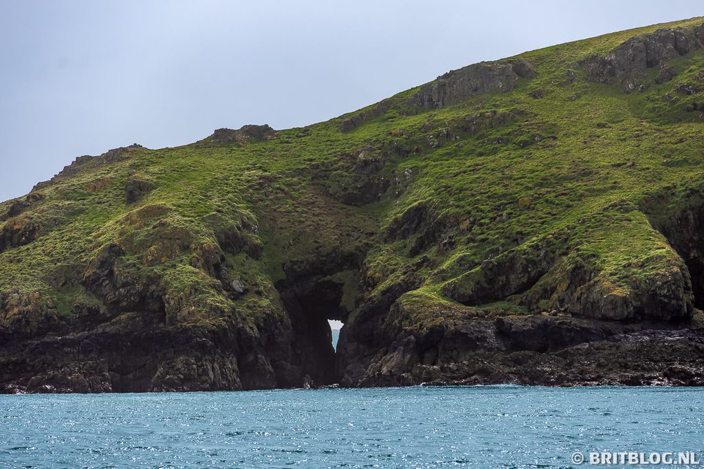 Skomer Island Pembrokeshire Wales 3