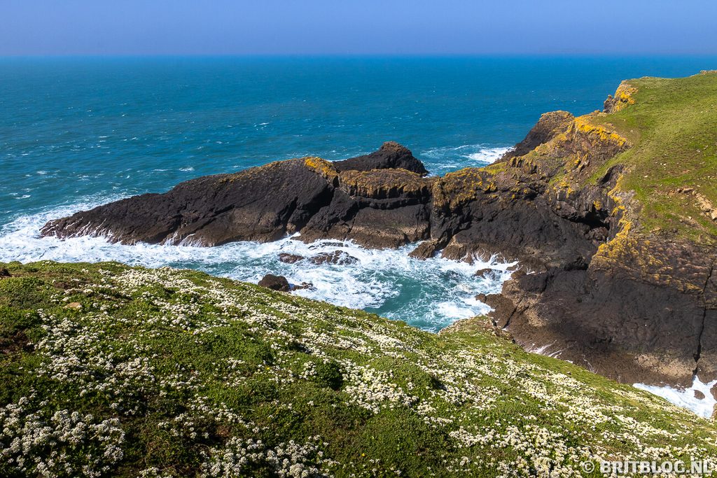 Skomer Pembrokeshire Wales 1 1