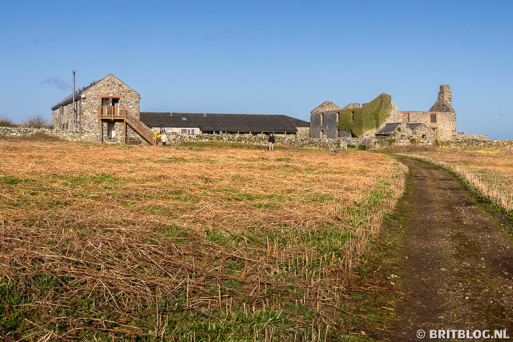 Skomer Pembrokeshire Wales 3 2