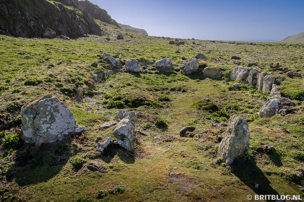 Skomer Pembrokeshire Wales 4
