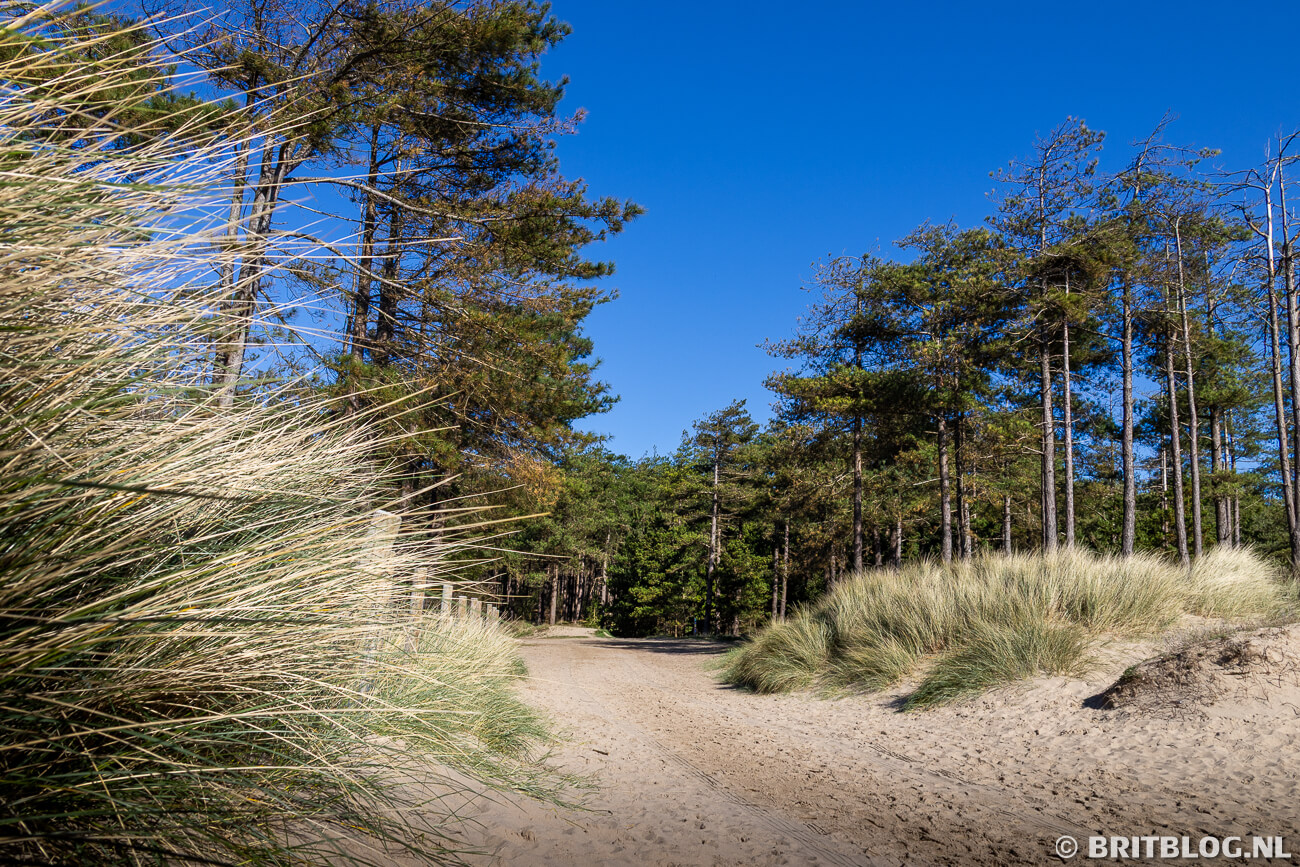 Newborough National Nature Reserve and Forest Anglesey Noord Wales 1