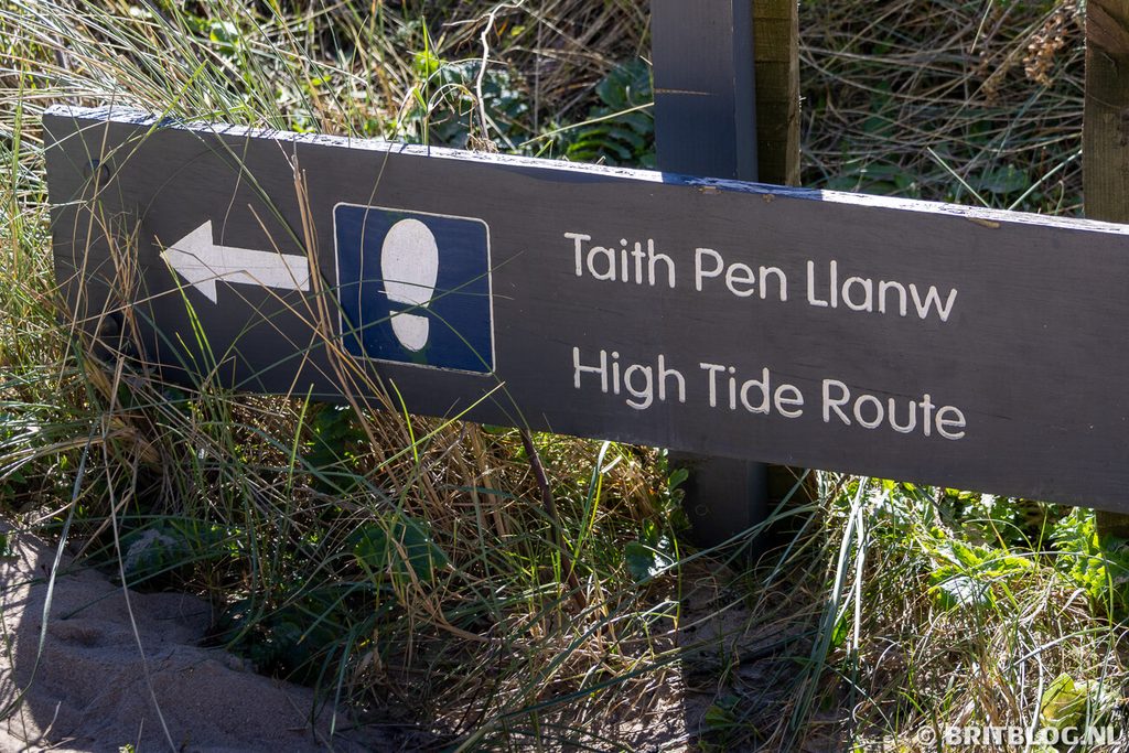 Newborough National Nature Reserve and Forest Anglesey Noord Wales 5