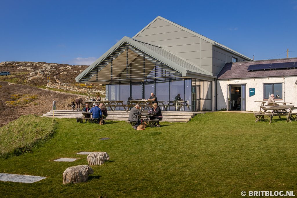 RSPB South Stack Anglesey Noord Wales 4